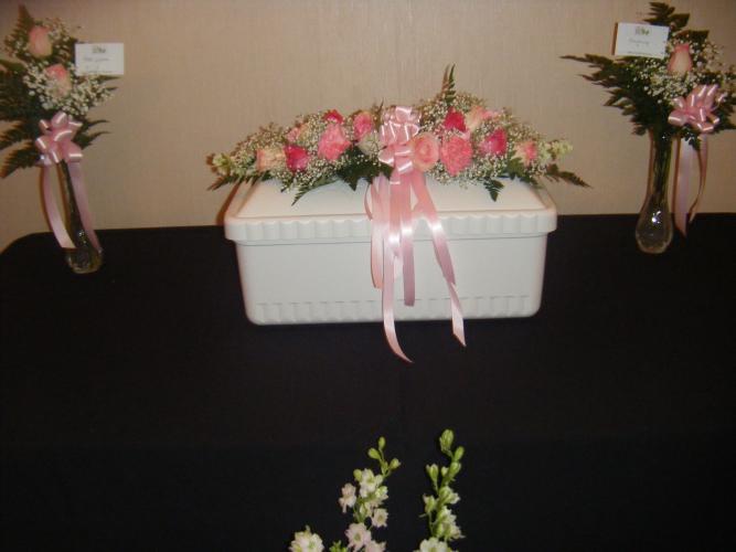 DSCF0424